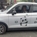 PANDAmonia & Chengdu